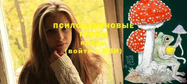 дживик Бугульма