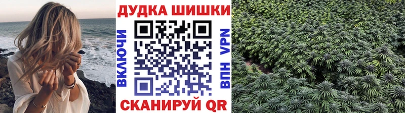 Бошки Шишки THC 21%  Купить закладки  Меленки 